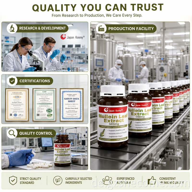 Mullein Leaf Extract Capsules10